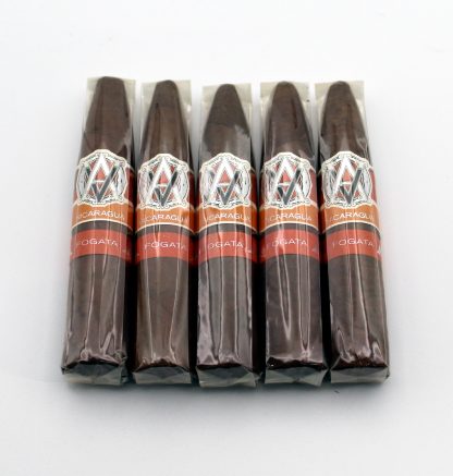 Avo Syncro Nicaragua Fogata Short Torpedo (5-Pack)