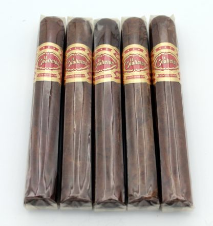 La Coalicion Siglo (5-Pack)