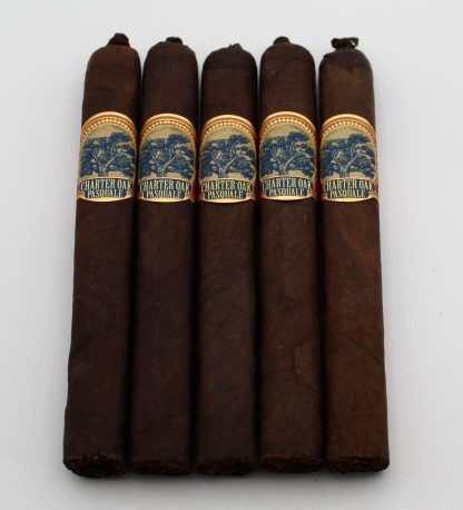 Charter Oak Pasquale CT Broadleaf (5-Pack)