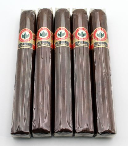 Joya de Nicaragua Antaño 1970 Big Bull (5-Pack)