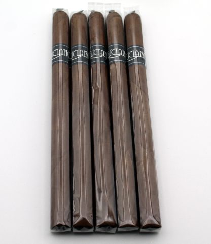 The Dreamer Lancero (5-Pack)