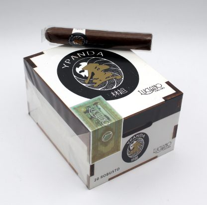 Y Panda Robusto