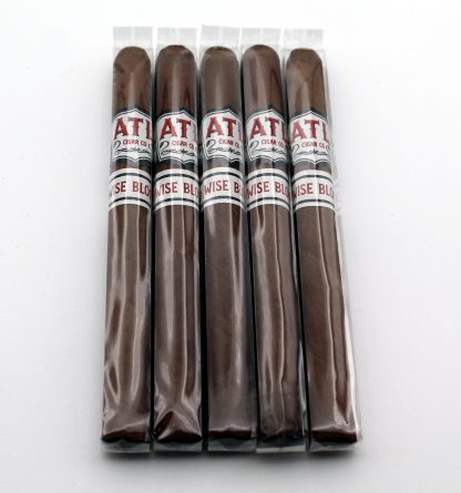 ATL Wise Blood Lonsdale (5-Pack)