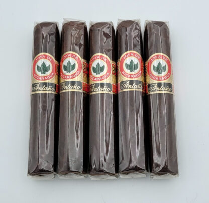 Joya de Nicaragua Antaño Consul (5 Pack)