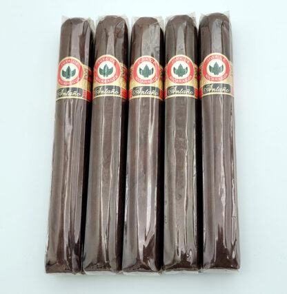 Joya de Nicaragua Antaño Big Bull (5 Pack)