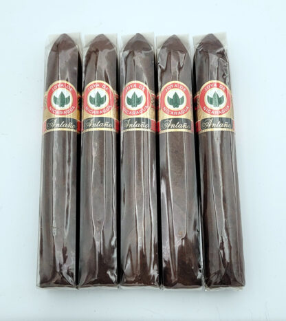 Joya de Nicaragua Antaño Belicoso (5 Pack)