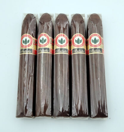 Joya de Nicaragua Antaño Magnum (5 Pack)