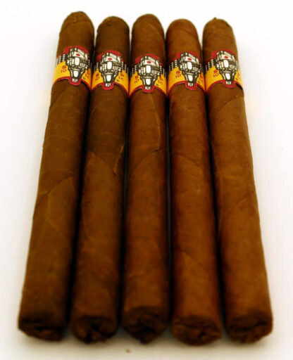 SP1014 Lancero (5-Pack)