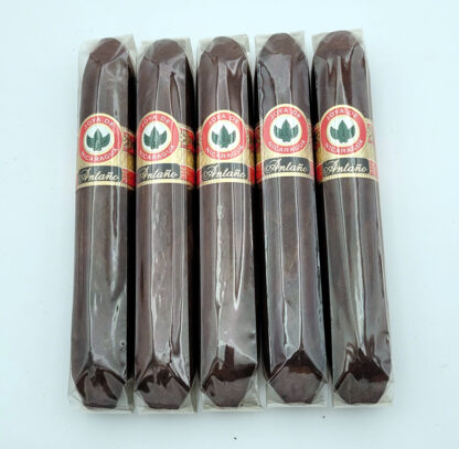 Joya de Nicaragua Antaño Gran Perfecto (5 Pack)