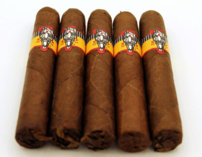 SP1014 Robusto (5-Pack)