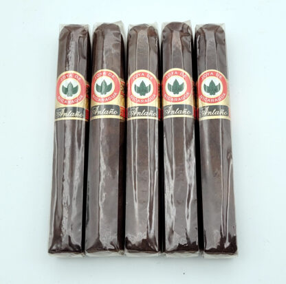 Joya de Nicaragua Antaño Robusto Grande (5 Pack)