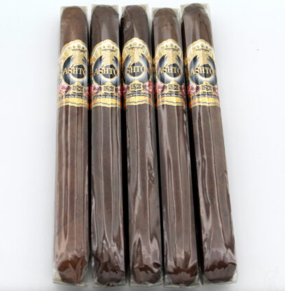 Ashton ESG 24-Year Salute (5-Pack)