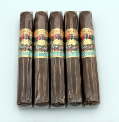 San Cristobal Quintessence Robusto (5-Pack)