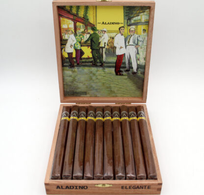 Aladino Corojo Elegante