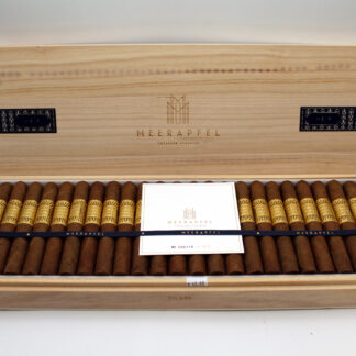 Meerapfel Meir 2025 Series Corona Gorda